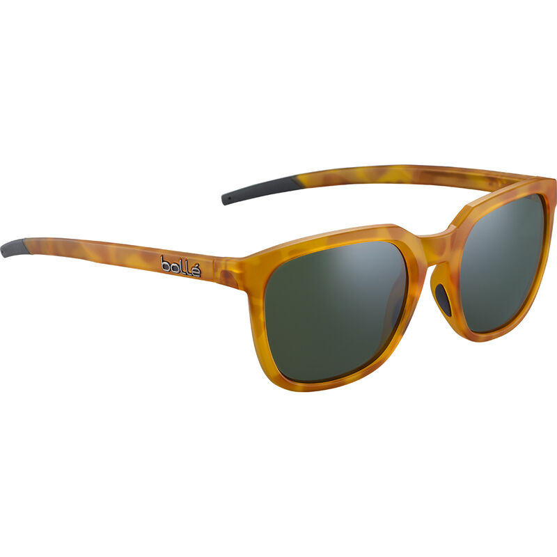TALENT, Tortoise Matte-HD Polarized Axis, hi-res image number null